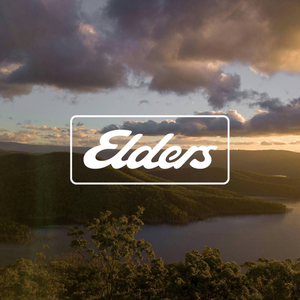 Buyer of house in Clinton, QLD property