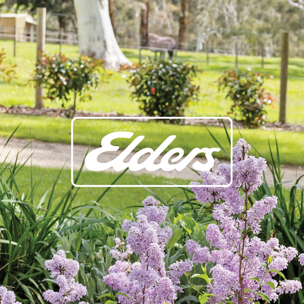 Seller of a house in Toolooa, QLD property